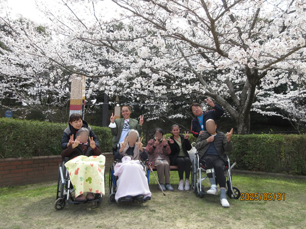 20250425_hanami01.jpg
